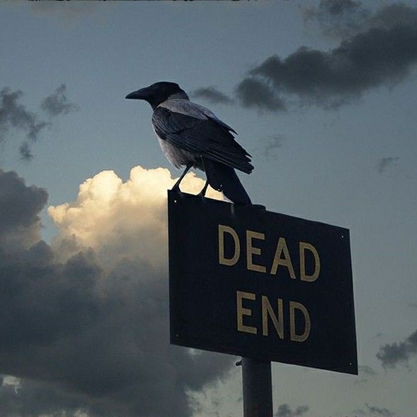 05复仇之歌:魔鬼的自白